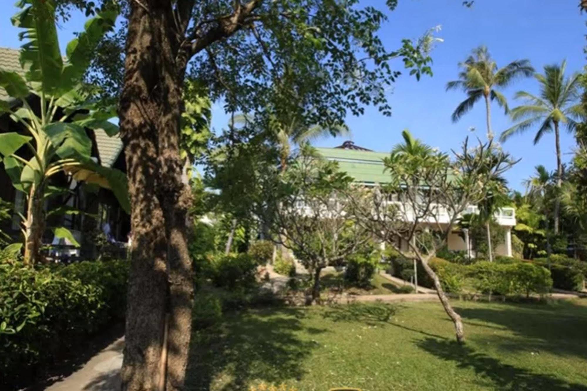 Palm Island Hotel Szamuj-sziget Kültér fotó